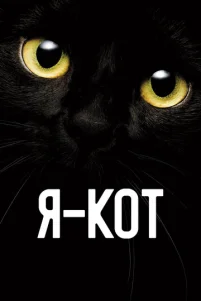 ᴙ — k0τ